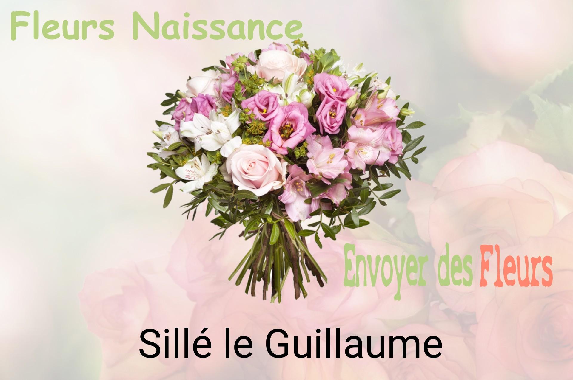 Bouquet de fleurs de naissance livré à Sillé-le-Guillaume